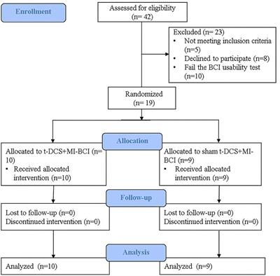 Using Transcranial Direct Current Stimulation to Augment the Effect of Motor Imagery-Assisted Brain-Computer Interface Training in Chronic Stroke Patients—Cortical Reorganization Considerations